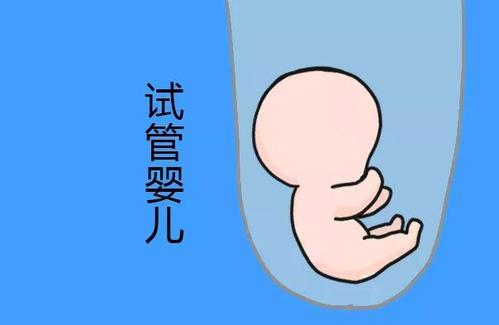 李晴阳院长